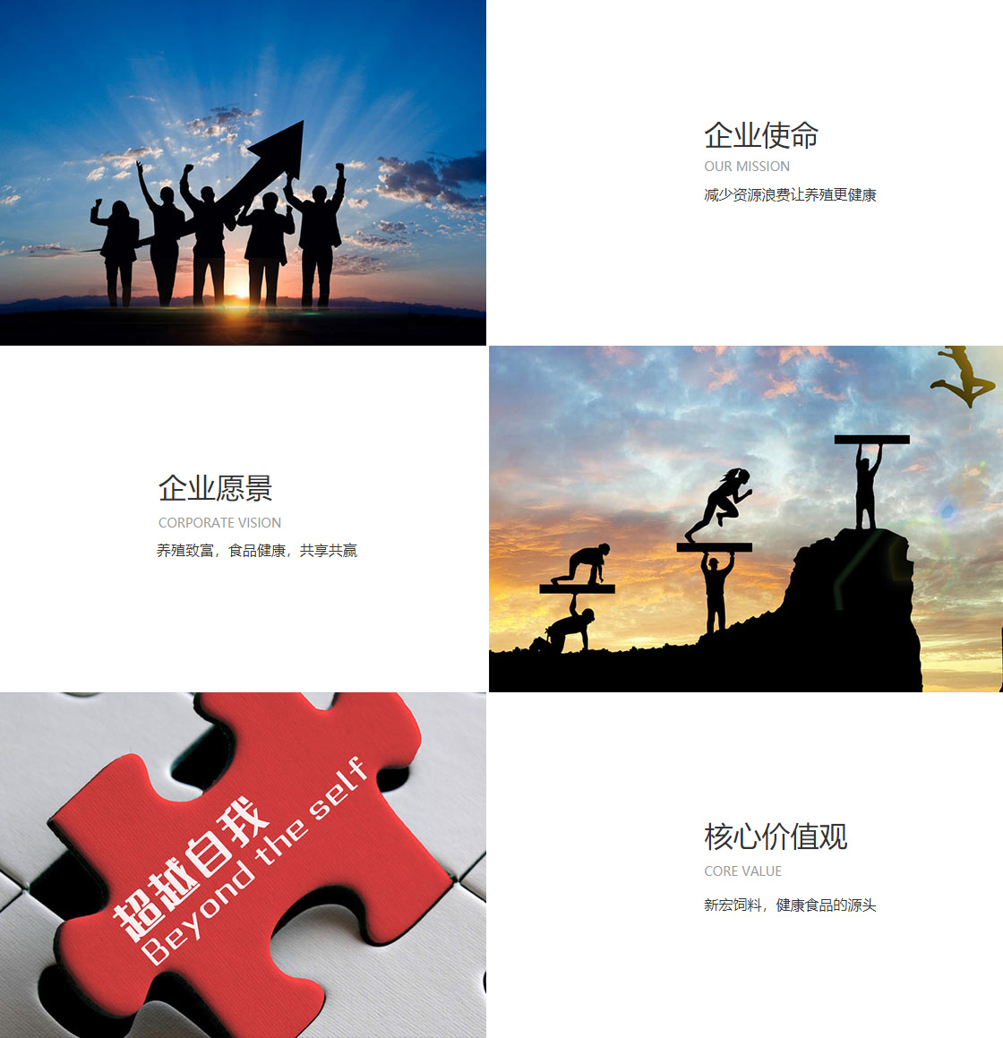 新利18体育在线官网(图1)